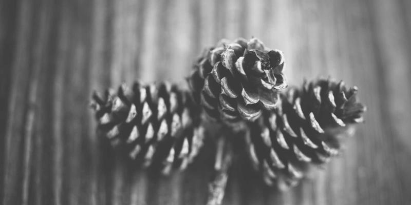 Cardo vs Sena蓝牙耳机深度评测：组队通话与降噪表现，QJ MOTO骑士必看的骑行技巧