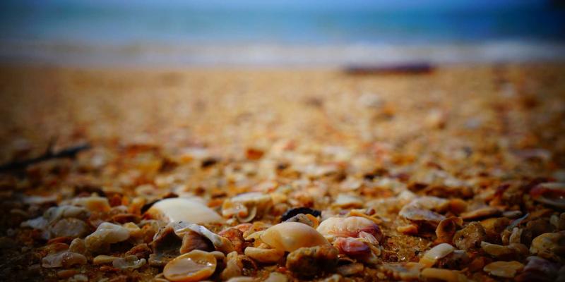 从真实案例看摩托车装备选择：安全如何依赖社区智慧与专业装备