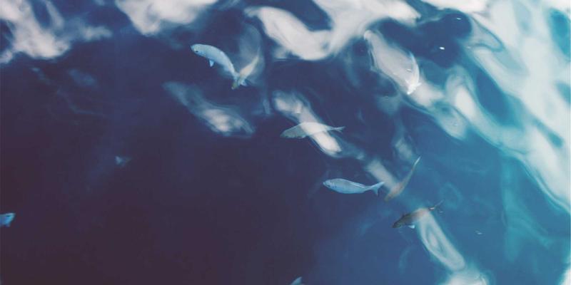 摩托车油箱包与尾箱终极对决：实用性与风阻影响的全方位测评