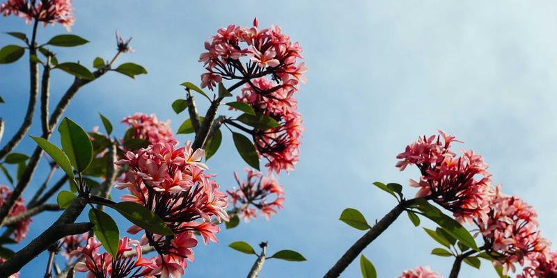 摩托车装备72小时：从安全防护到骑行文化的深度探索