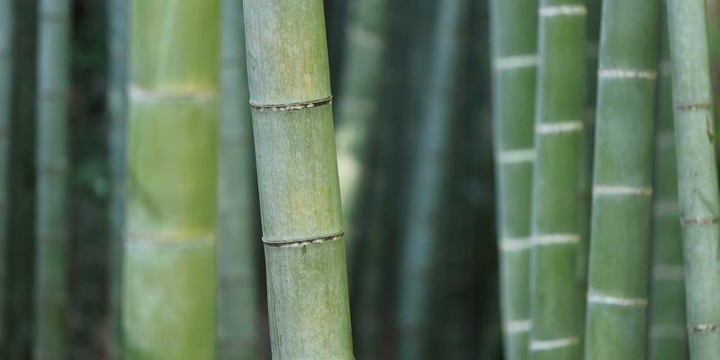 摩托车装备95%的骑手都忽略的细节：从QJ MOTO看骑行技巧与文化的深层融合