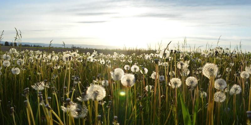 摩托车装备进阶指南：从QJ MOTO看骑行文化与安全守护