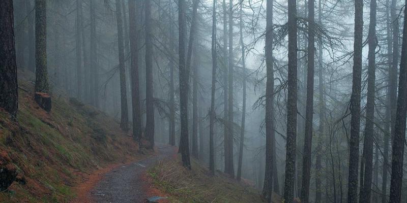 长途摩旅装备清单：除了三箱，这些提升舒适与安全的实用装备你备齐了吗？